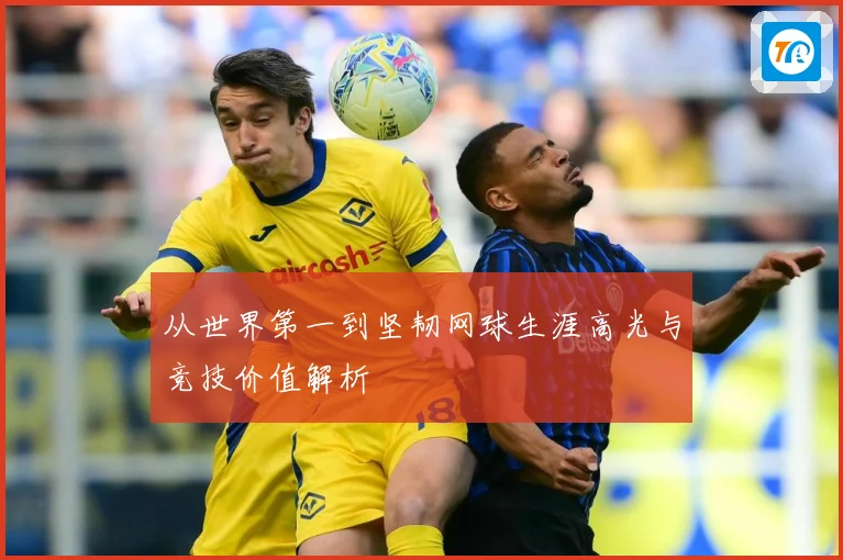 从世界第一到坚韧网球生涯高光与竞技价值解析